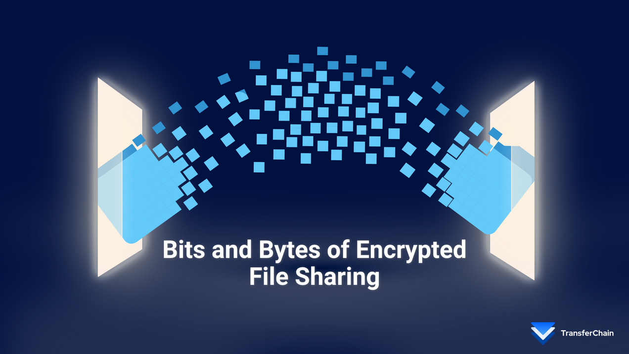 Bits and Bytes of Encrypted File Sharing